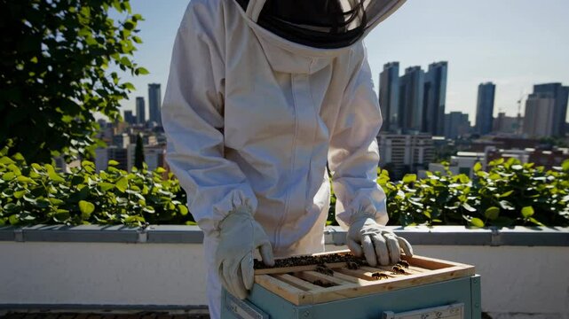 Urban beekeeper tending hives on a rooftop with city skyline in the background