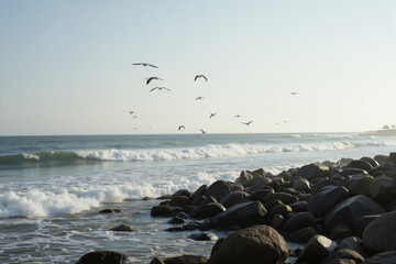 Rocky coastline with waves and seagulls at sunset