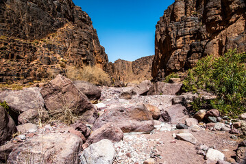 2024 03 14 Jebel Saghro Atlas river 132