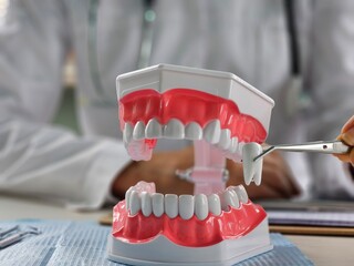 Dentist pulling tooth with forceps out of jaw model. Dental surgeon using instrument for teeth...