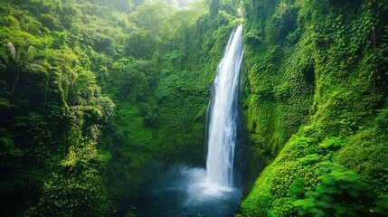 Lush tropical waterfall surrounded by verdant greenery and dense forest canopy