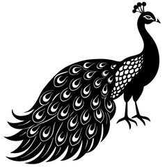 Cute Silhouette of a Peacock line art vector cartoon illustration