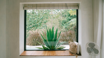 Tropical Architecture View Through Palm Leaves