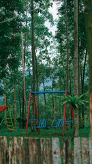Children's Playground in Forest Setting with Swings
