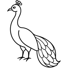 Cute Silhouette of a Peacock line art vector cartoon illustration
