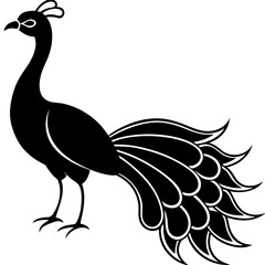Cute Silhouette of a Peacock line art vector cartoon illustration