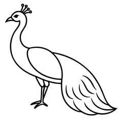 Cute Silhouette of a Peacock line art vector cartoon illustration