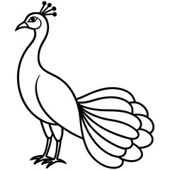 Cute Silhouette of a Peacock line art vector cartoon illustration