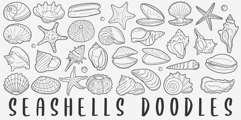 Seashell Doodle Icons. Hand Made Line Art. Beach Animal Shell Clipart Logotype Symbol Design.