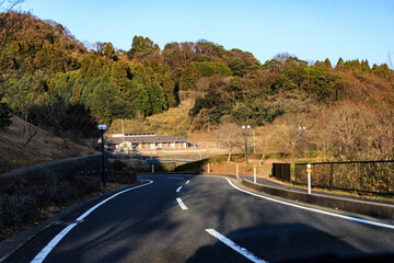 Winding Road Through a Lush Green Forest, Ine, Kyoto, Japan