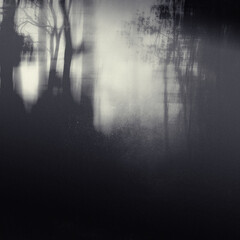Grunge forest wallpaper, nature gloomy landscape © wilqku