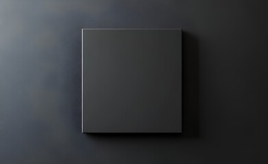 Minimalist Black Canvas Against Dark Wall
