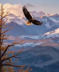 Fototapeta premium Bald eagle takes off from a tree branch with the Haines Mountains as a backdrop, flying overhead, haines mountains