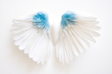 Fototapeta premium Elegant wings with soft white feathers and striking blue tips cr