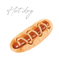 ホットドッグの手描き水彩画イラスト