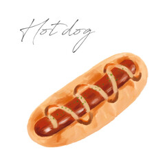 ホットドッグの手描き水彩画イラスト