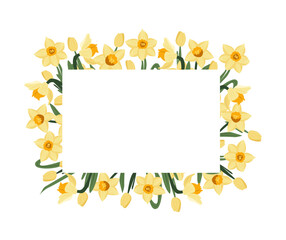 Fototapeta premium Floral frame with yellow daffodils. Spring flowers on white background. Hand drawing vector illustration.