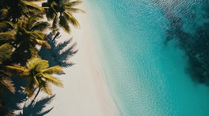 Aerial view of tropical beach with palm trees and turquoise water