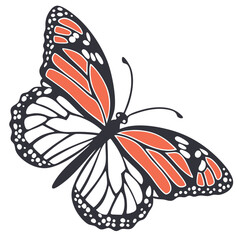 Butterfly Illustration On White Background