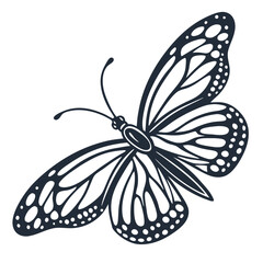 Butterfly Illustration On White Background
