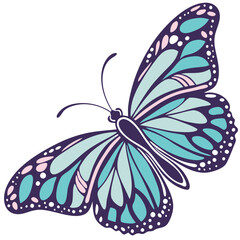 Butterfly Illustration On White Background