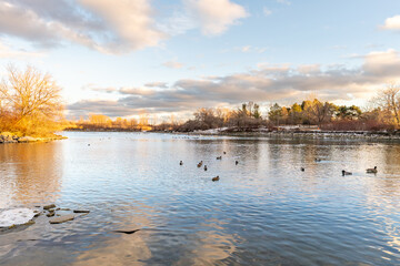 Tranquil winter scene: ducks glide across a calm lake, reflecting the serene sunset sky and leafless trees along the shore. A touch of snow hints at the season's chill.