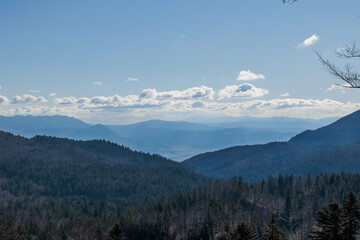 dettaglio su un ambiente naturale tra collina e montagna nella Slovenia occidentale, di mattina, con cielo sereno, in novembre