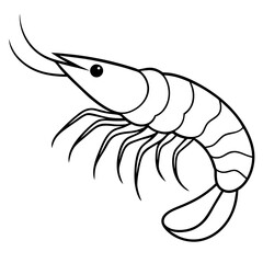 Shrimp Outline Graphic