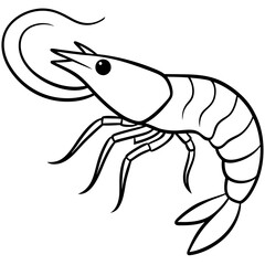 Shrimp Outline Graphic