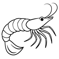 Shrimp Outline Graphic