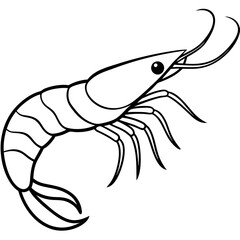 Shrimp Outline Graphic