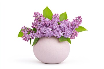 Beautiful lilac flowers arranged in a round vase, set against a plain white background