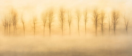 Bare trees outlined against a misty, soft golden backdrop convey simplicity and serenity in nature's bare essentials, creating a poetic scene.