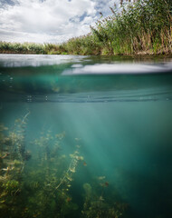 Fishing. Underwater background.