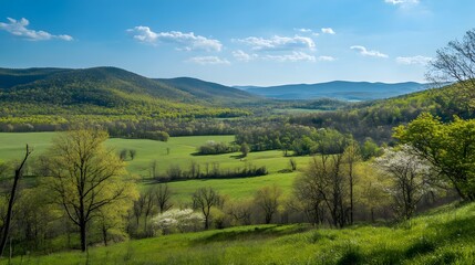 Fototapeta premium A picturesque landscape on the first day of spring, with rolling hills covered in lush greenery, trees starting to bud, and a bright blue sky overhead