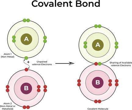 Covalent Bond Formation Design Vector Illustration