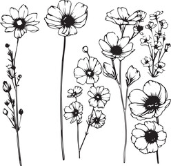 Set Flowers. Hand drawn vector illustration