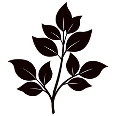 black and white leaves