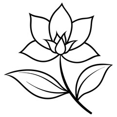 black and white flower