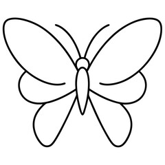 butterfly illustration