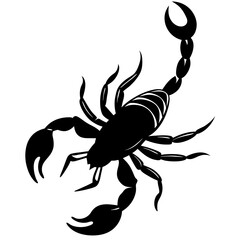 Cute Silhouette of a Scorpion line art vector cartoon illustration