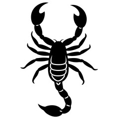 Cute Silhouette of a Scorpion line art vector cartoon illustration