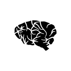 brain icon, simple flat style, pictogram logo symbol vector illustration, isolated on white for mobile app