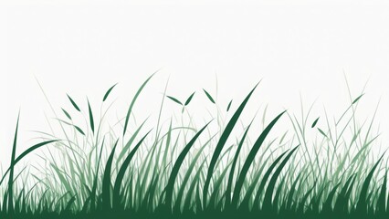 Fototapeta premium green grass background