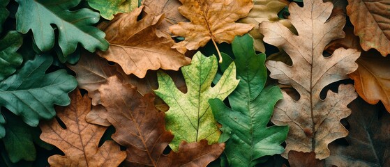 Overlapping oak leaves in rich shades of green, brown, and gold create a textured tapestry celebrating the diversity of nature.