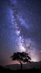 Fototapeta premium Stunning Night Landscape Under Celestial Skies - A Detailed Guide and Techniques for Night Photography