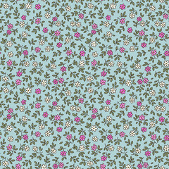 Flowers. Vector seamless pattern. Cute pattern in small chamomile flowers. Small pink and white flowers. Light blue background. Ditsy floral background. Vintage template for fashion prints. Stock 