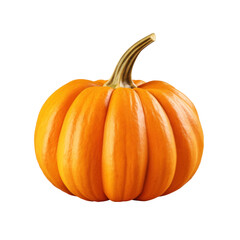 Obraz premium pumpkin isolated on white background