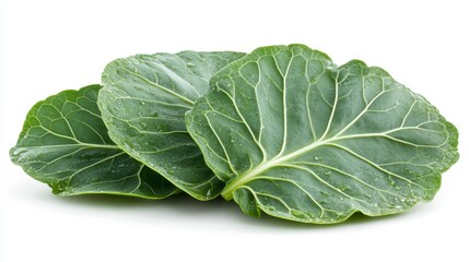 Obraz premium Fresh Green Collard Greens Leaves with Water Droplets Healthy Food Close up Studio Shot