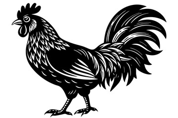 Rooster Vector Designs: Download SVG, PNG, EPS, AI, and PSD Files